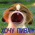���� ����