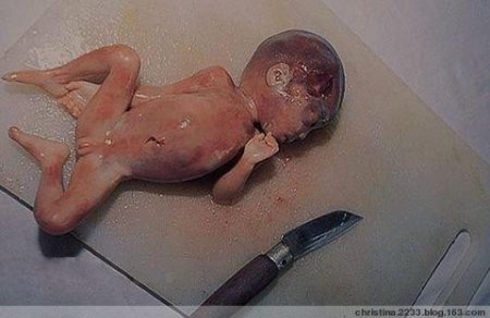 � ����� ���� ���������
