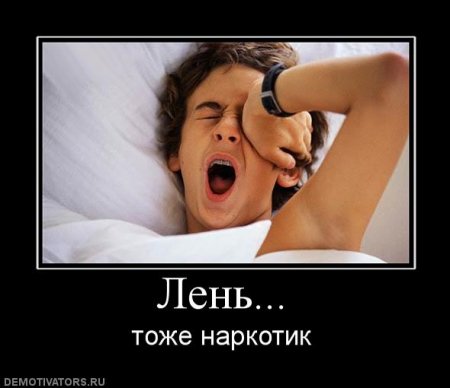 ������ ������ � �����