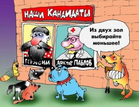������ ������������ � ������ �������