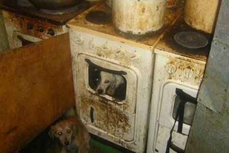 ��������� �����...���� ���-�� ������...