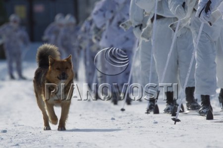 ��� ����� ������� �� ������ ���������