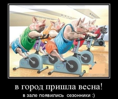 ���������� ������� ������������ �� ���������� ��������
