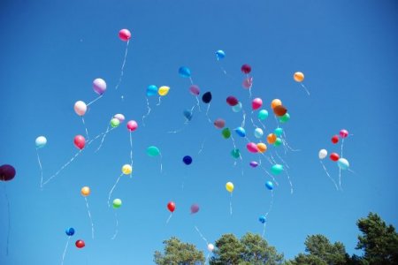 ������� �� � 81 ������ �������� ��� ����������� 