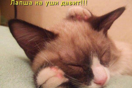 ���� ����� - ������ �����!