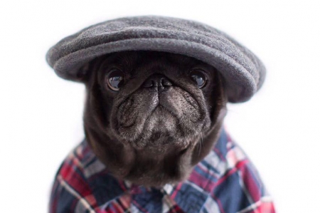 ��� ���� �� �������� ���� �������� � Instagram